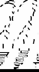 Incandescent Lamp: 40W, Medium Screw Base, A15 Lamp